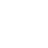 Generate Anything in Animation