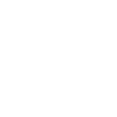 Quick TikTok Video Creation