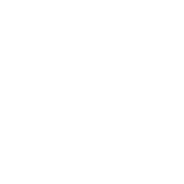 Various AI Animation Templates
